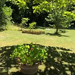 Les Choses De La Vie Casa vacanze Saint-Alvère
