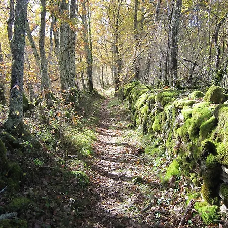 Les Choses De La Vie 펜션 Saint-Alvère