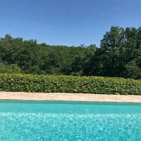 Les Choses De La Vie