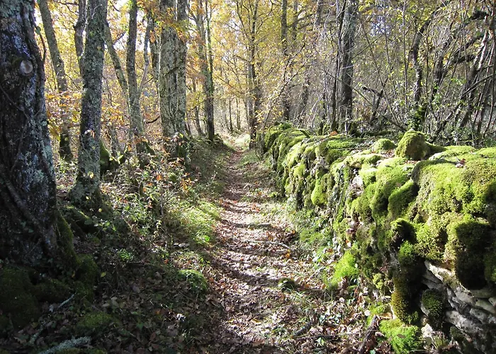 Les Choses De La Vie Casa de Férias Saint-Alvère